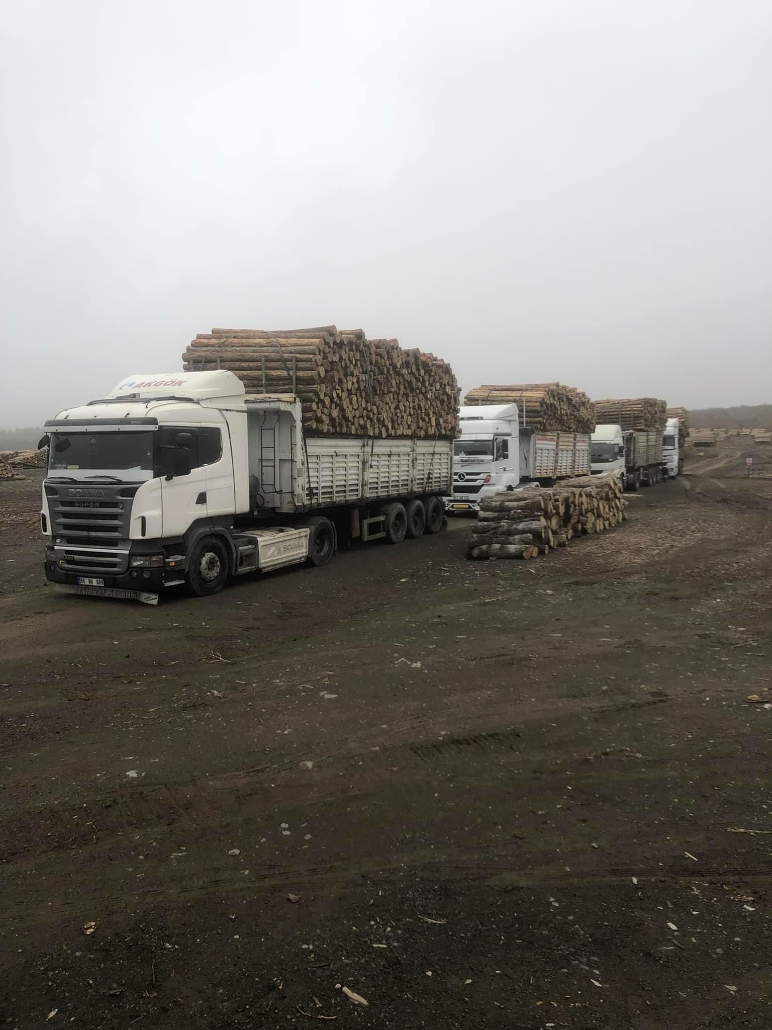 Şanver Orman Ürünleri ve Nakliye